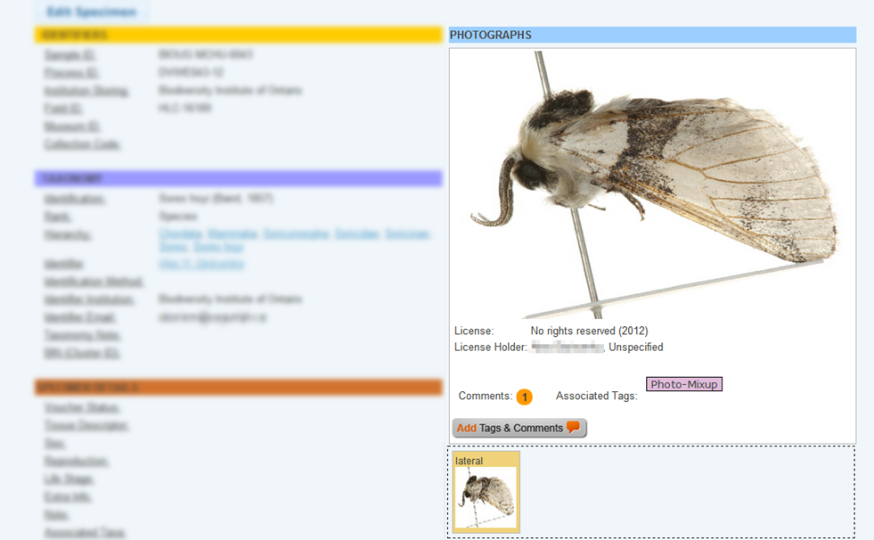 taggeg specimen page